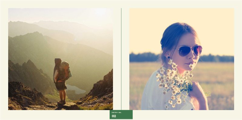 Field Index Photo Book — additional preview 5